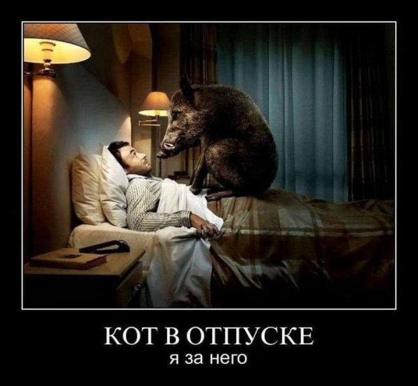 Отпуск демотиватор