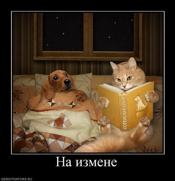 Спокойной ночи мартышка