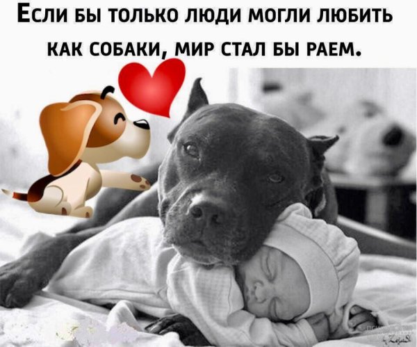 Приколы про ночь и сон