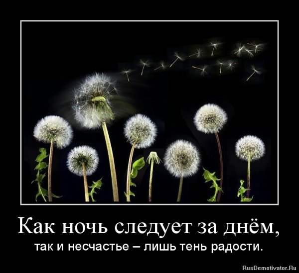Пожелания спокойной ночи