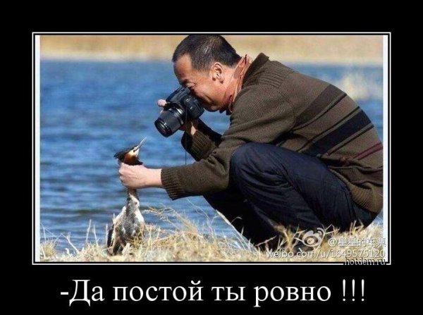 Фотограф юмор