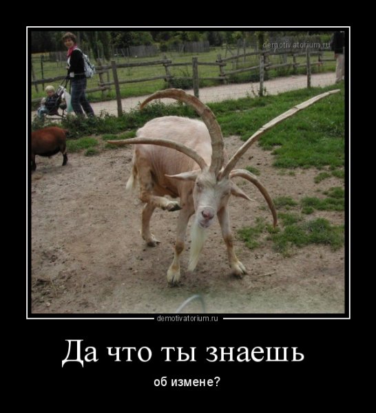 Козел демотиватор