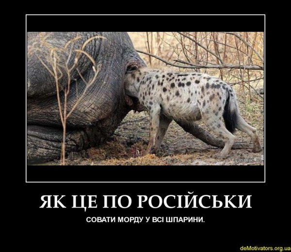 Кто такой демотиватор