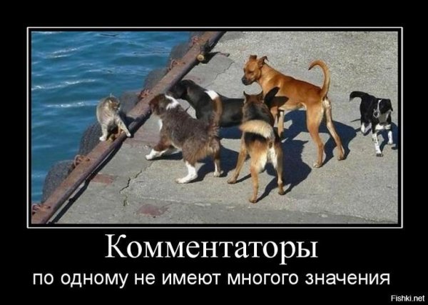 Демотиваторы о понимании