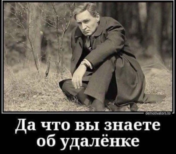 Штирлиц что вы знаете об удаленке