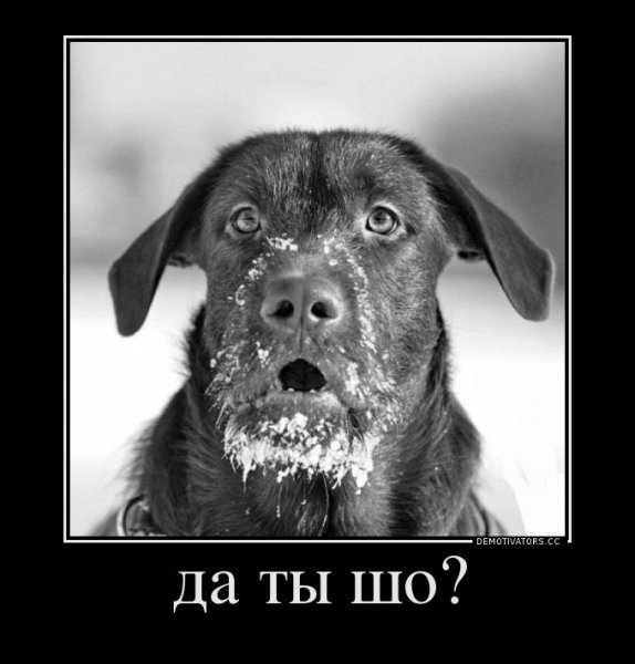 Да ты че
