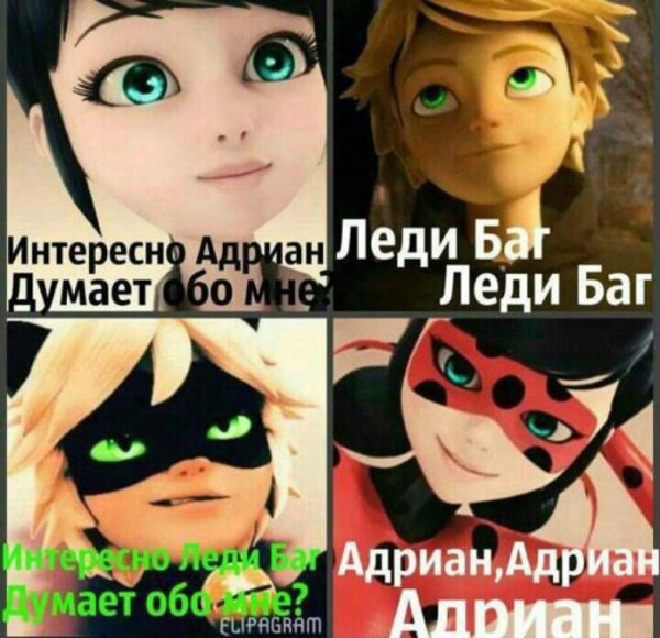 Леди баг и супер-кот приколы
