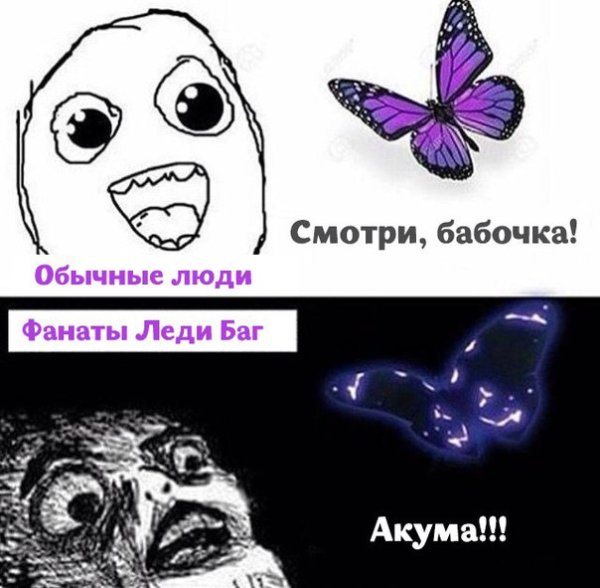 Леди баг и супер-кот приколы