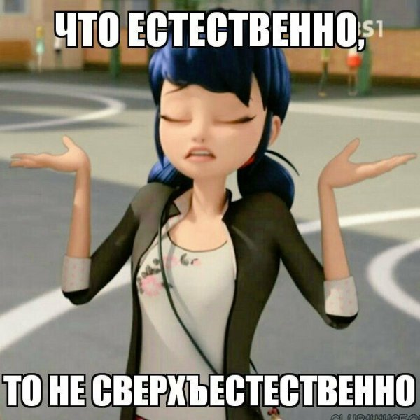 Мемы леди баг и супер ко т