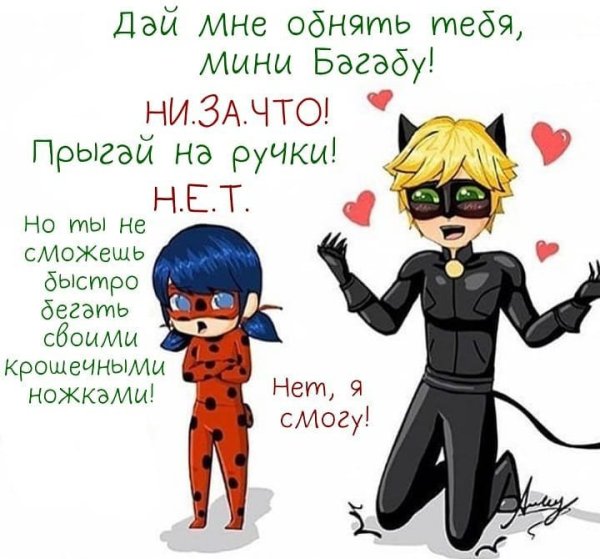 Леди баг и супер-кот