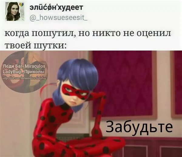 Шутки про леди баг и супер кота