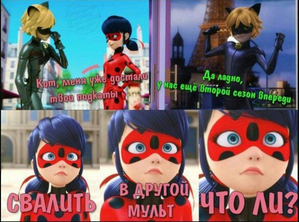 Шутки про леди баг