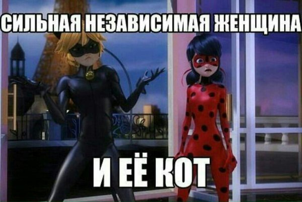 Ледибак и суперкотприколы