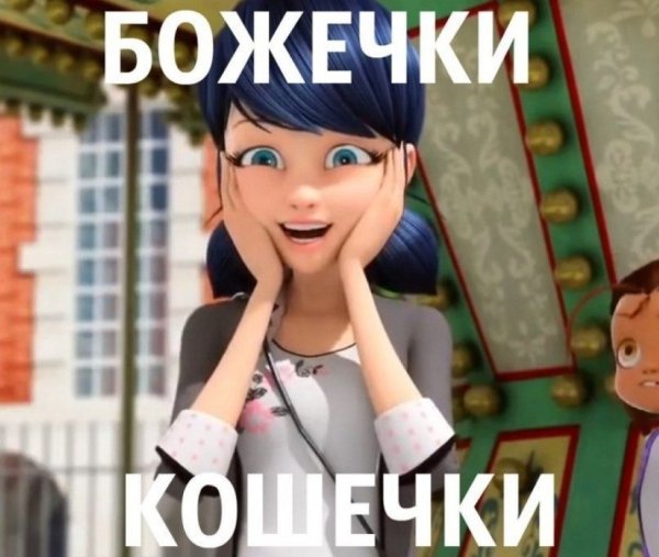 Леди баг и супер кот смешные