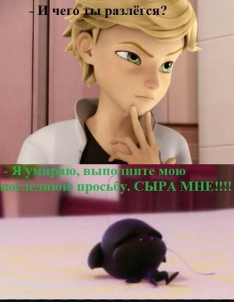 Леди баг и супер-кот приколы