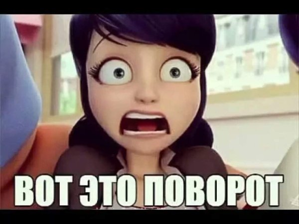 Леди баг и супер кот мемым