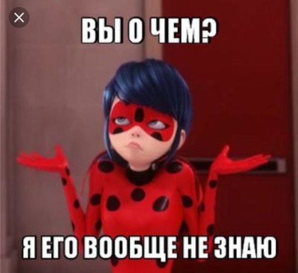 Супер кот приколы