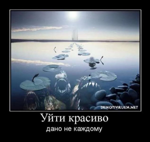 Приколы со смыслом