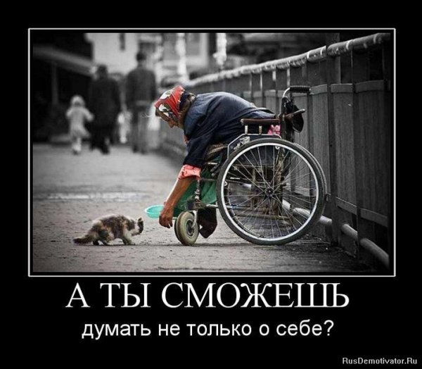 Доброта демотиваторы