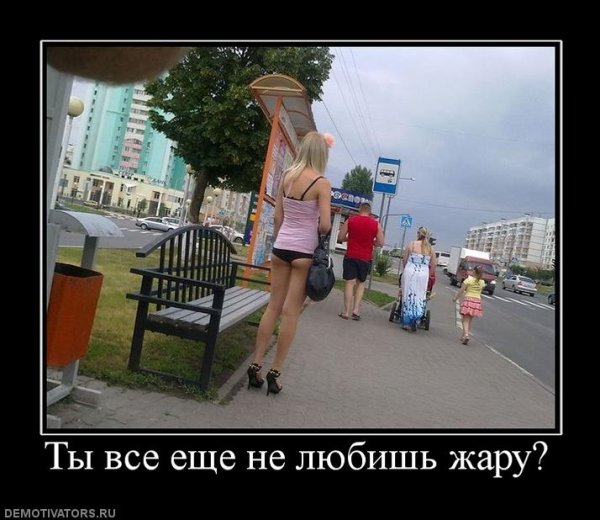 Приколы про жару