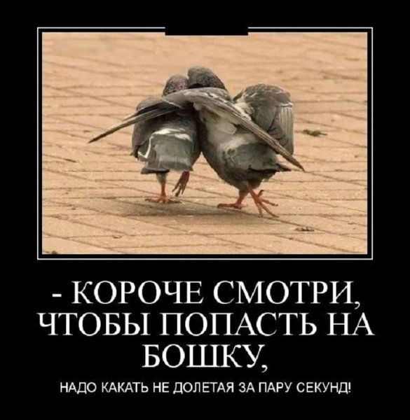 Демотиваторы смешные