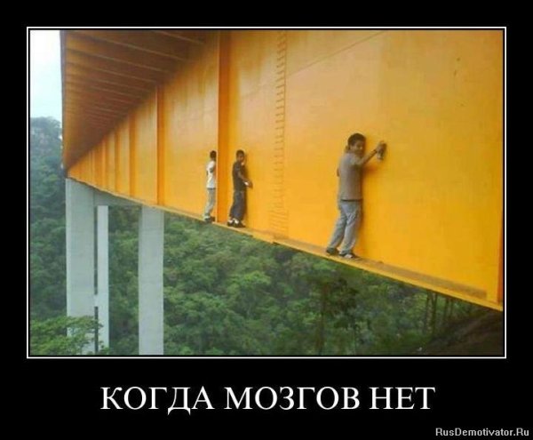Слабоумие и отвага демотиватор