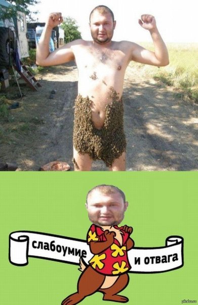 Слабоумие и отвага