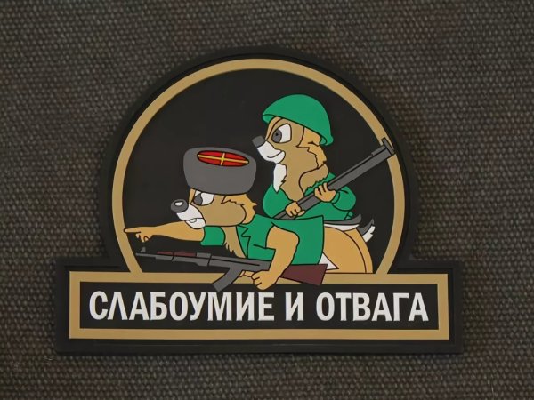Чип и Дейл слабоумие и отвага нашивка