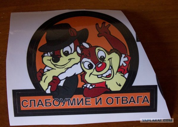 Наклейка слабоумие и отвага чип и Дейл