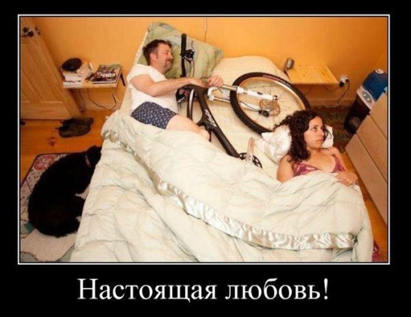 Настоящая любовь юмор