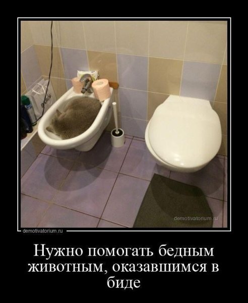Демотиваторы смешные