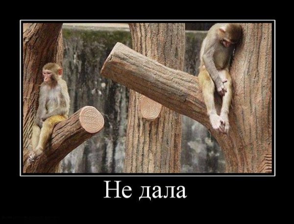 Демотиватор не дала