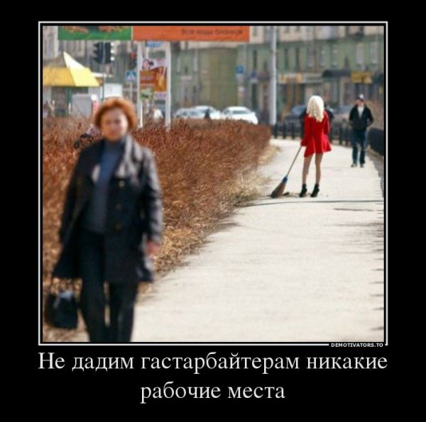 Дворник демотиватор