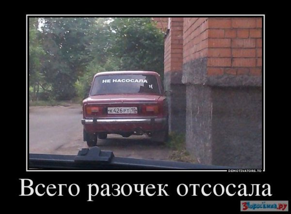 Честность юмор