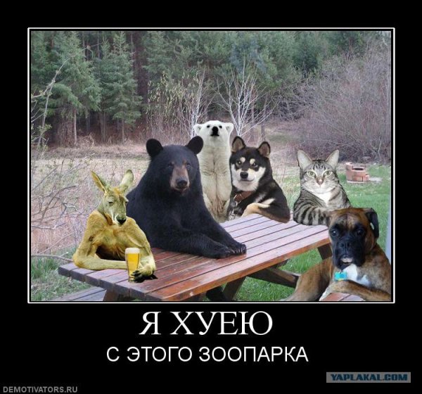 Всем похуй демотиватор