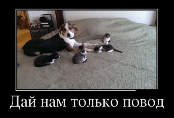 Только дайте мне повод..