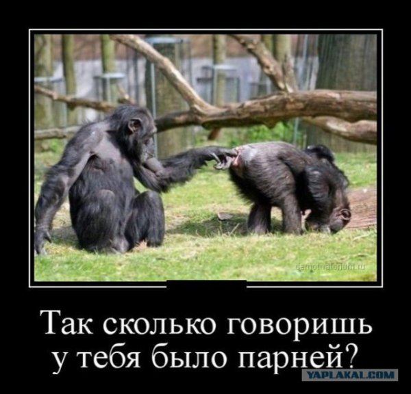 Фотоприколы и демотиваторы