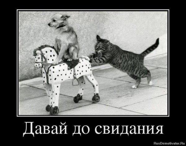 Катись к хуям кот и собака