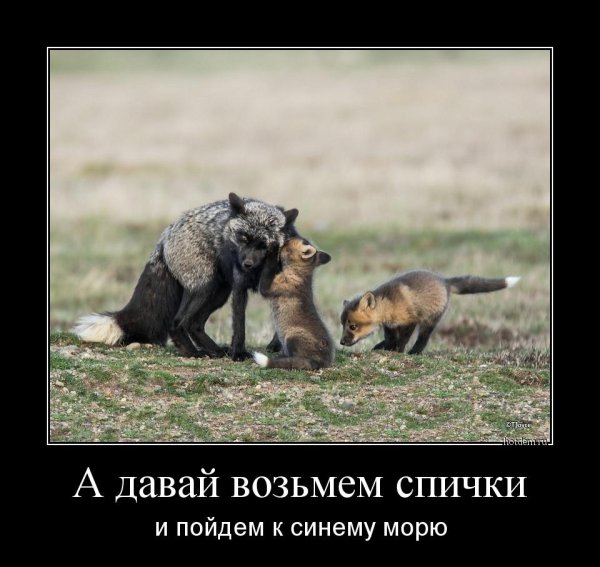 А еще червяком земляным червяком