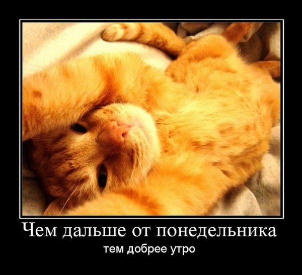 С добрым утром юмор
