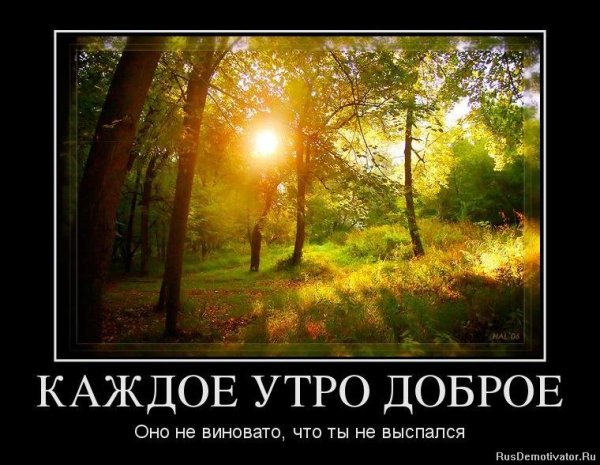 Утро добрым не бывает