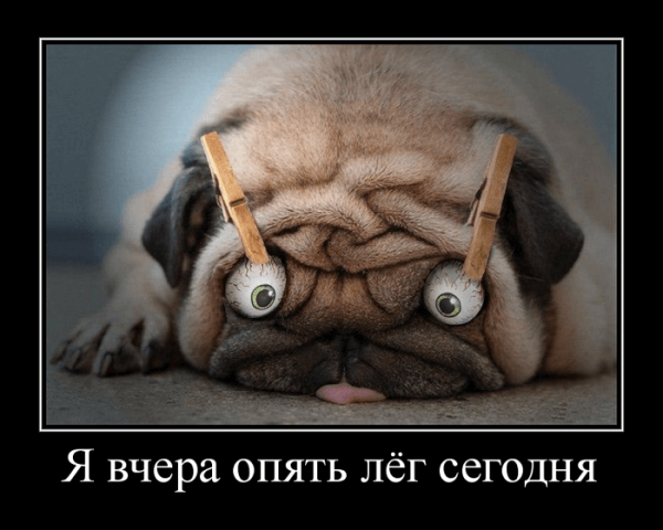 Демотиваторы с добрым утром