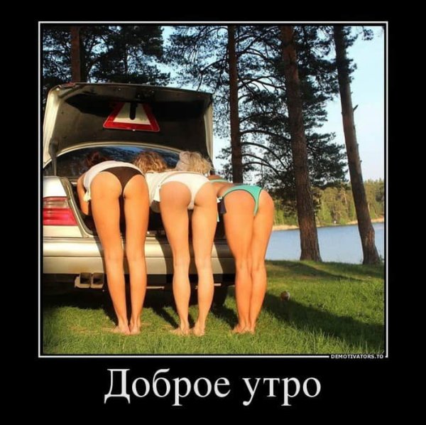 Демотиваторы с добрым утром