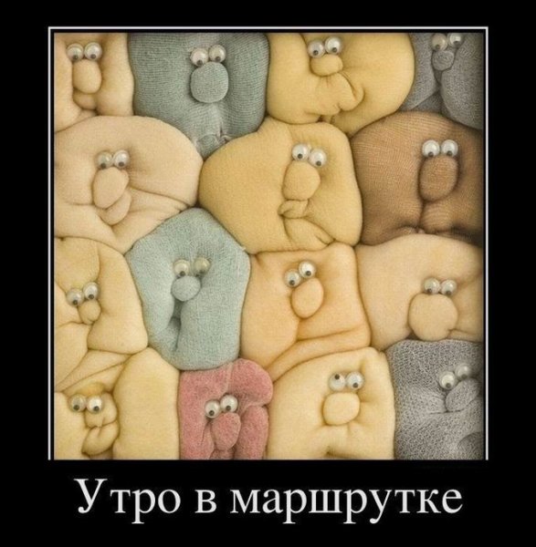 Доброе утро демотиваторы смешные