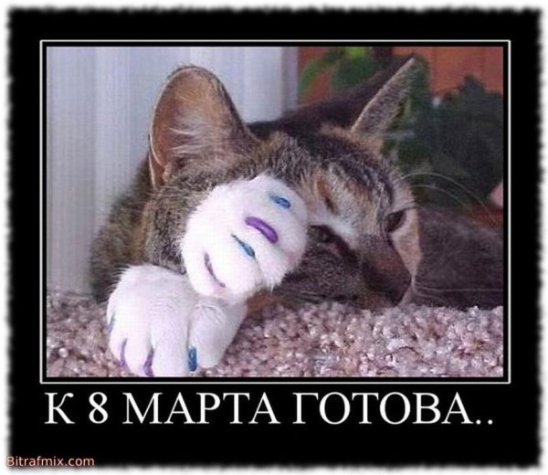 Демотиваторы смешные про девушек