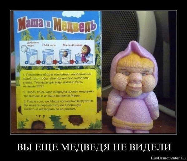 Элитный юмор в картинках