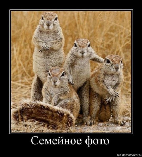 Мотиватор и демотиватор