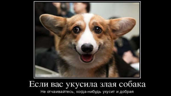 Автомобильные демотиваторы смешные