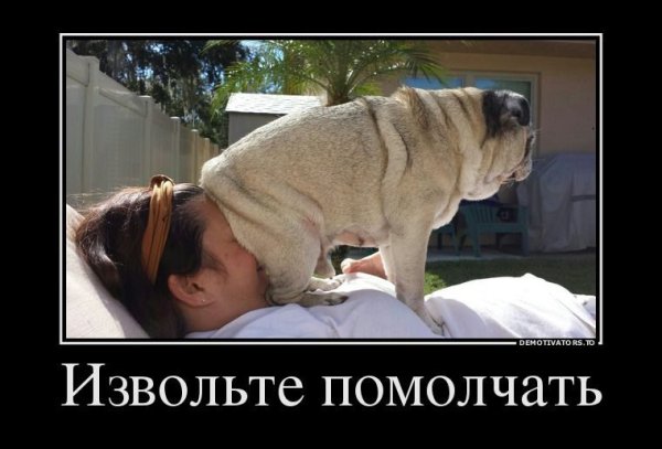 Демотиваторы животные