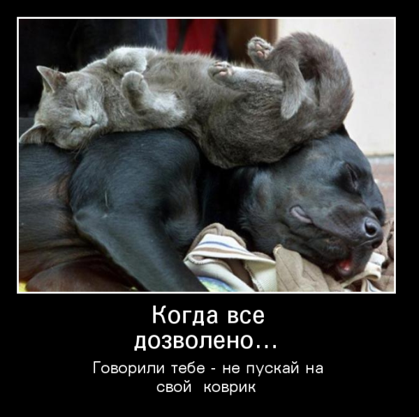 Демотиваторы про супружескую жизнь